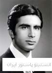 علی غزنوی